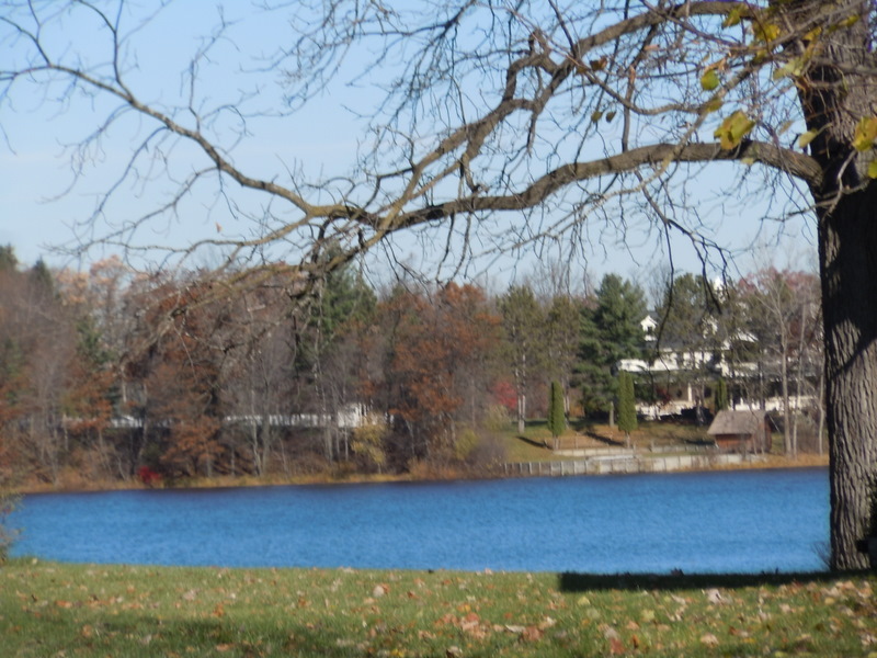 Real Estate Blaine Lake Homes For Sale Livingston County Michigan